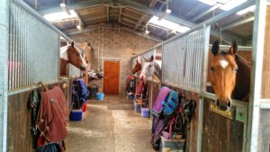 Equine and Equestrian Horse Pony Stables